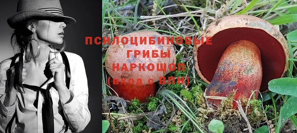 не бодяженный Инсар